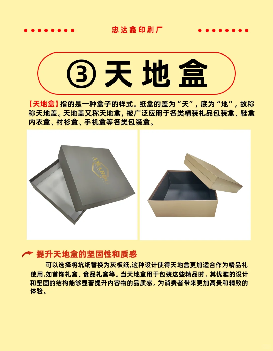 盒型